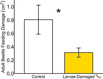 Undercover operation: Belowground insect herbivory modifies systemic plant defense and repels aboveground foraging insect herbivores